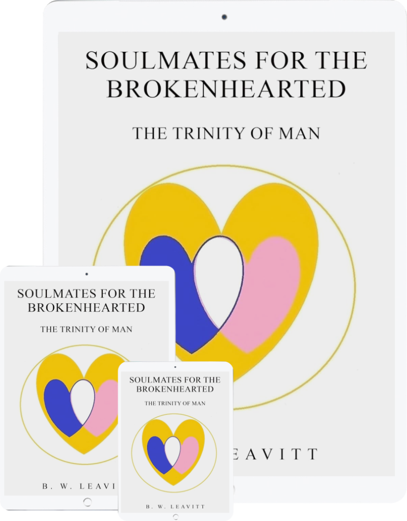 Love Story of a heart broken Guy | BW Leavitt